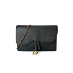 Dior Wallet on Chain Crossbody Bag
